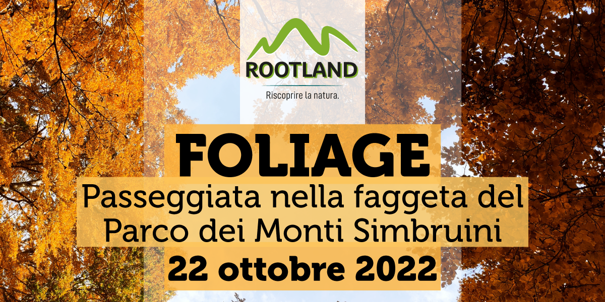 https://www.lacicala.org/immagini_news/12-10-2022/il-foliage-nel-parco-dei-monti-simbruini-con-rootland-a-monte-autore--monte-livata--subiaco-.png