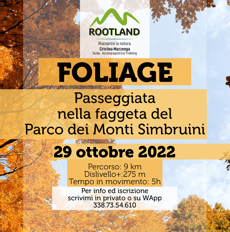 https://www.lacicala.org/immagini_news/28-10-2022/foliage-nei-monti-simbruini-a-monte-autore-il-29-ottobre-2022-.jpg