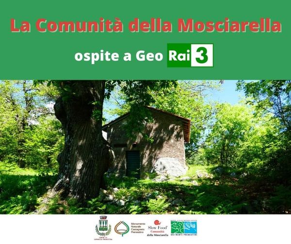 https://www.lacicala.org/immagini_news/28-10-2022/la-comunita-della-mosciarella-ospite-a-geo-di-rai-3-.jpg