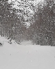 https://www.lacicala.org/immagini_news/28-11-2022/prima-neve-dellautunno-2022-a-monte-autore-100.jpg